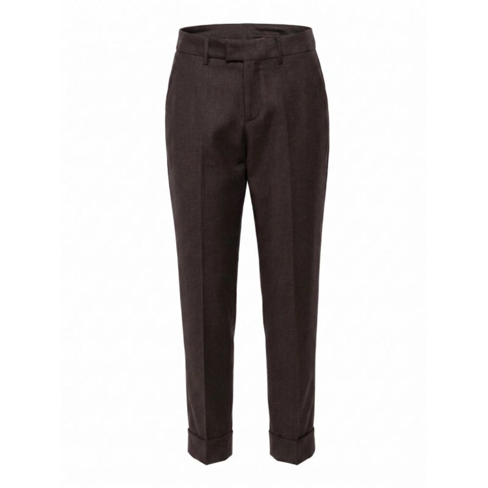 Berwich Women Regular Pants